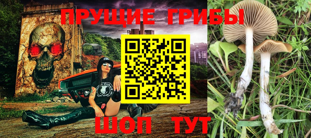 Псилоцибиновые грибы Psilocybine cubensis Топки
